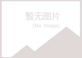 临夏县忆山能源有限公司